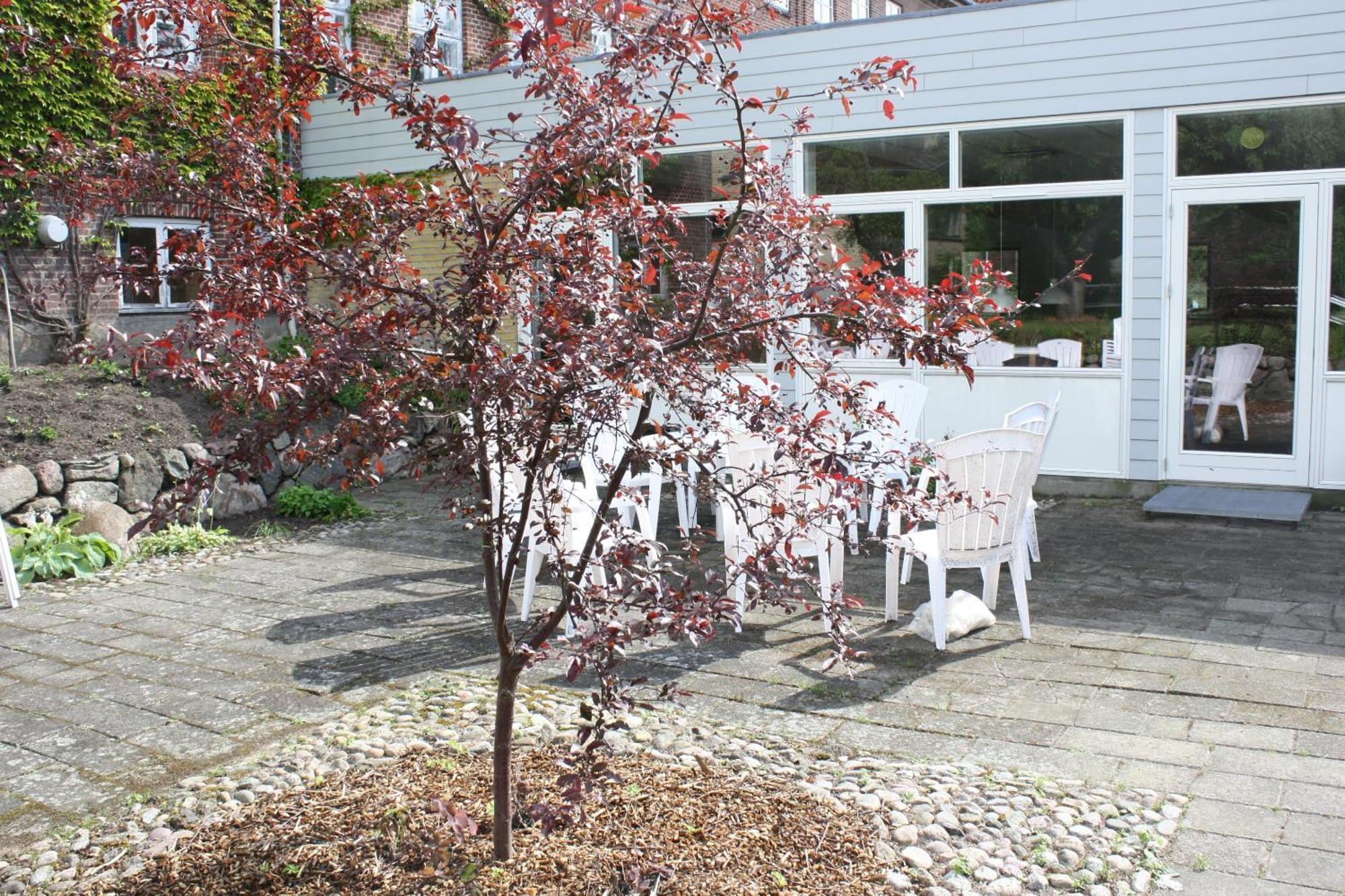 Emmaus Hostel Haslev Eksteriør bilde